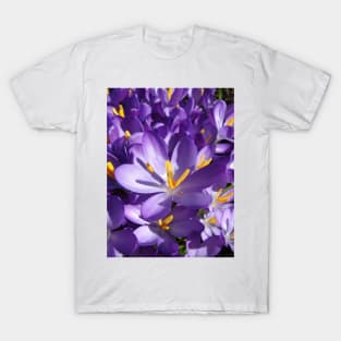 Crocii T-Shirt